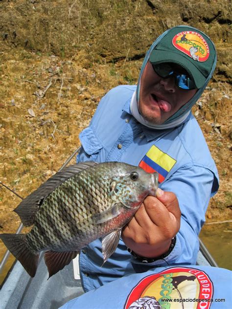 Espacio De Pesca Pesca De Mojarra Black Bass Y Tilapia En Guatape