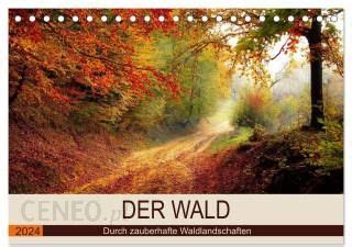 Der Wald Durch Zauberhafte Waldlandschaften Tischkalender Din A