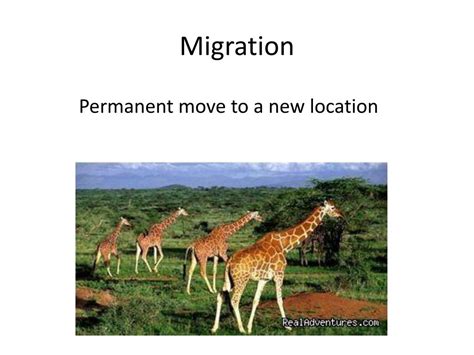 Ppt Unit 2 Population And Migration Powerpoint Presentation Free