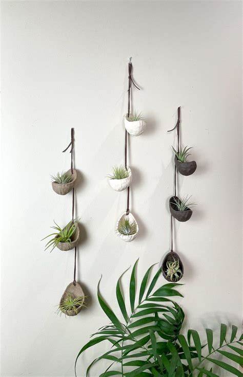 Hanging Air Plant Holder Air Plant Holder Air Plants Planters Wall