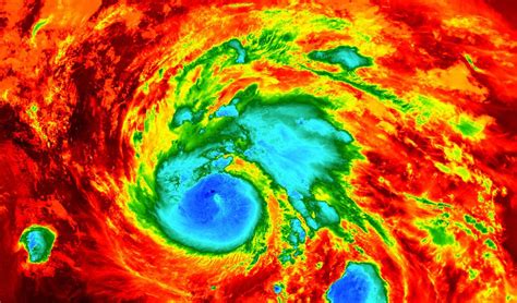 Hurricane Harvey Breaks Records While A Million Cows Stand In The