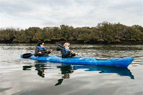 Adelaide: Dolphin Sanctuary Eco Kayaking Tour | GetYourGuide