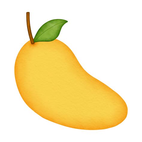 Yellow Mango Watercolor Illustration 23980446 Png
