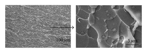 Sem Micrographs Of Flexural Fracture Surface Of Gnp Filled Epoxy