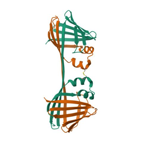 Rcsb Pdb 7ucv The Crystal Structure Of Apo Domain Swapped Dimer