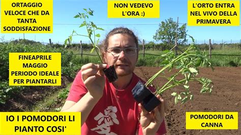 Come Piantare I Pomodori Con Le Cipolle Nell Orto Perch Io Li Pianto