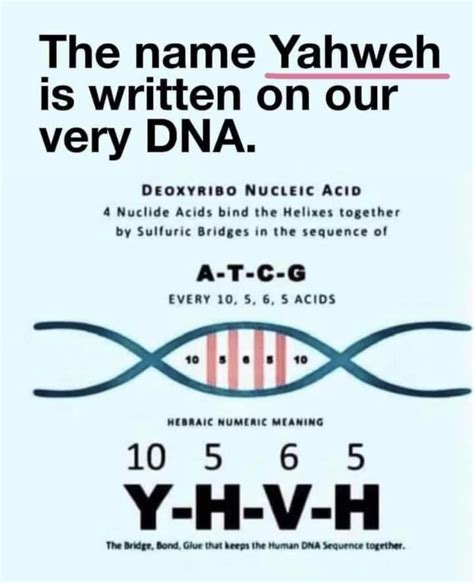 Daily Bible Verses Dna Molecule Bible Knowledge Bible