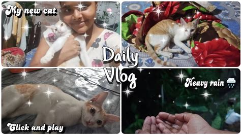 Daily Vlog Bengali Vlog Bengali Daily Vlog Cat Vlog Bengalivlog