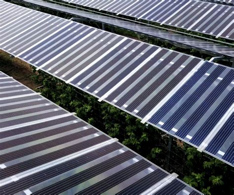Agrisolar by Solar Power Europe