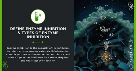 Define Enzyme Inhibition And Types Of Enzyme Inhibition 2024