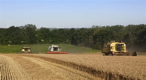 Une Belle Moisson Qui S Ach Ve Eta Gautier