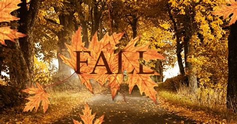 Facebook Cover Photo Fall Leaves - facebook cover gaming maker