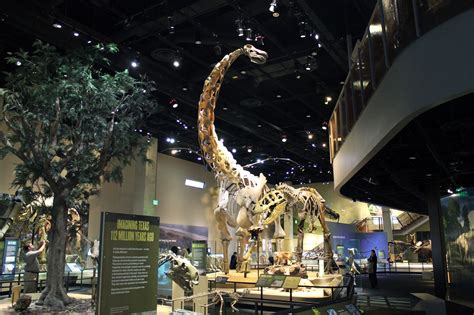 Clash of the Texas Fossil Exhibits: PMNS | EXTINCT MONSTERS