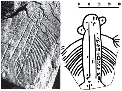 The tifinagh / Berber alphabet: history and current status | Institut National des Langues et ...