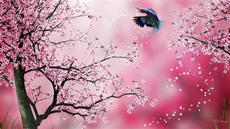 Pink Sakura Wallpapers Top Free Pink Sakura Backgrounds Wallpaperaccess