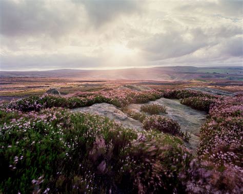 Moorland Landscape Photography