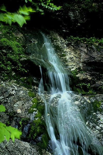 Mad River Falls - Maine