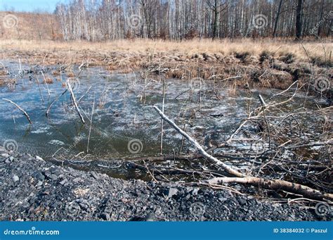 Toxic water stock photo. Image of sewage, pollute, dump - 38384032