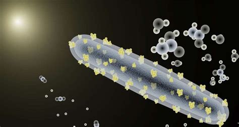 How To Train Your Bacterium Berkeley Lab Photosynthesis How To