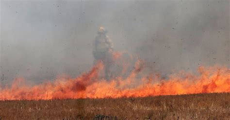 La Campiña Jerezana Afronta Otro Verano Bajo Riesgo Alto De Incendios