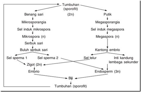 Sistem Reproduksi Pada Tumbuhan Ipa Kelas 9 Bab 2