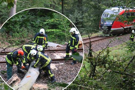 Bahnverkehr Stand Still Baum Auf Gleis Gefallen