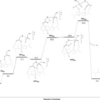 Reaction pathways for peptide-bond formation between two glycine... | Download Scientific Diagram