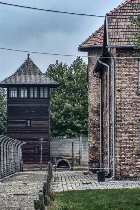 Krakow Auschwitz And Wieliczka Salt Mine Combo Tour Getyourguide