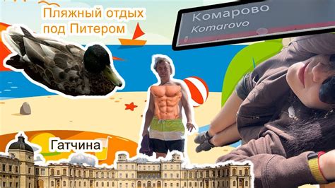 Эко-тропы Санкт-Петербурга.Сестрорецкие болота.Комарово.Гатчина.Закуп ...