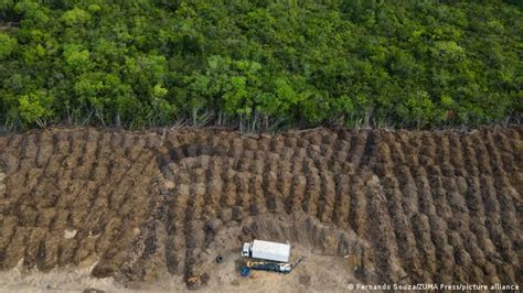 Over 100 World Leaders Pledge To End Deforestation By 2030 At COP26