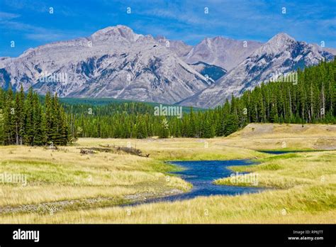 Mountains and fields in Banff National Park Stock Photo - Alamy