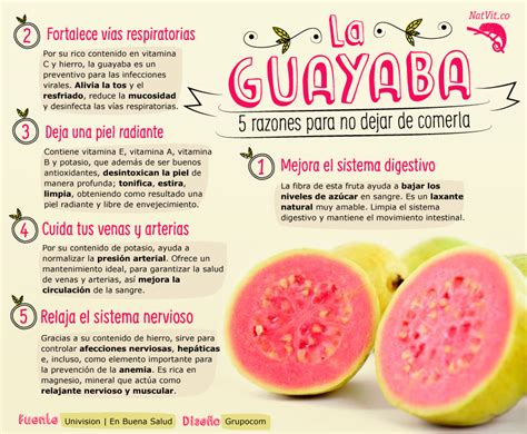 Guayaba En Guayaba Beneficios Frutas Y Verduras Beneficios