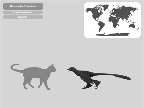 Perfil Microraptor Zhaoianus Paleohistoric By Paleohistoric On Deviantart