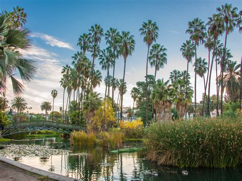 Hidden Gems In Echo Park Discover Los Angeles