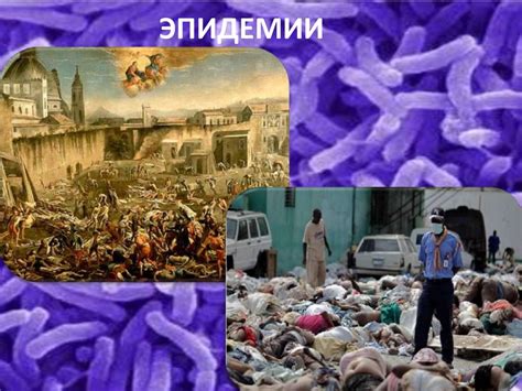 Инфекционные заболевания и меры их предупреждения - презентация онлайн