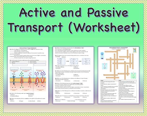 Active And Passive Transport Worksheet Printable And Distance Learning Worksheets Library