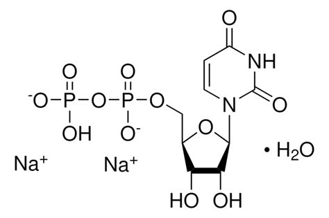 Structure Of UDP Na2 Uridine 5 Diphosphate Disodium Salt CAS 27821 45