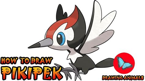 How To Draw Pikipek Pokemon Drawing Animals Youtube