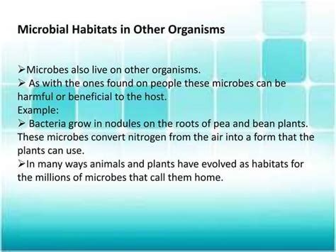 Environmental Microbiology Ppt