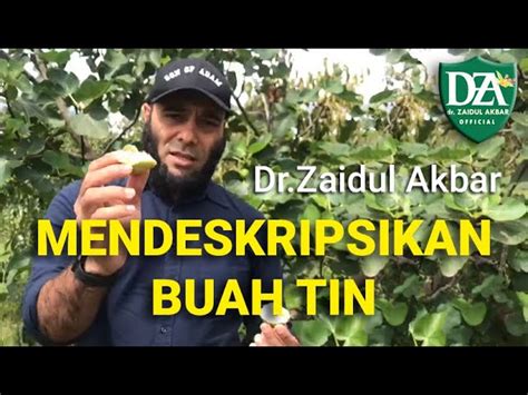 Temukan 5 Manfaat Buah Tin Untuk Promil Yang Jarang Diketahui Biotifor