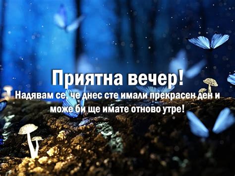 Приятна вечер!