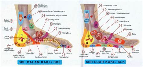 Maklumat Kesihatan Dan Penyakit Kelebihan Urut Refleksologi Kaki