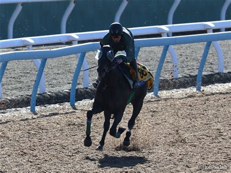 エターナルタイム Eternal Time 競走馬データベース 競馬ラボ