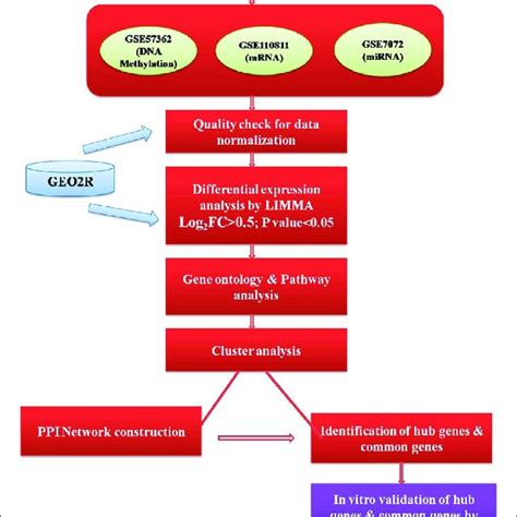 Outline Of The Workflow Executed In An Integrative Analysis Of