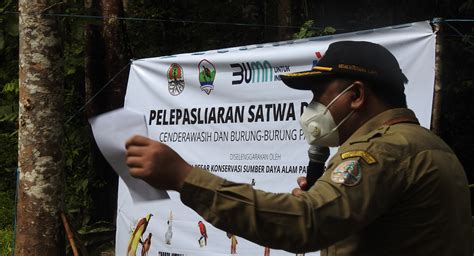 Pelepasliaran Satwa Liar Endemik Papua Di Taman Wisata Alam Sorong