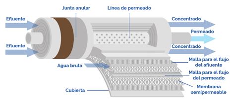 Función de las membranas ósmosis inversa Blog SYPYSA