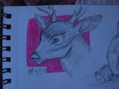 Deer By Yellingpotatoes On Deviantart