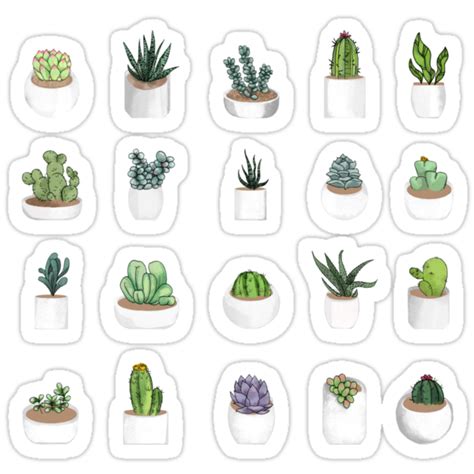 Succulents Stickers By Katherineblower Redbubble