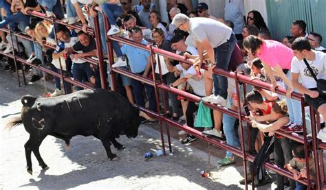 Las Im Genes De La Celebraci N Del Toro Del Aleluya En Arcos