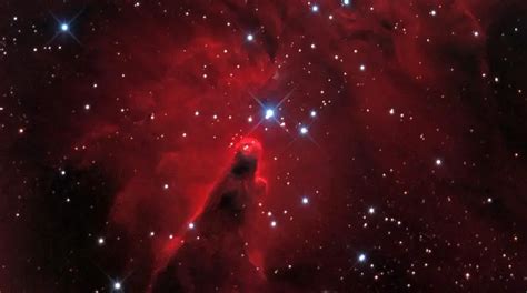 NEBULOSA DEL CONO TODO SOBRE ESTA MARAVILLA GALÁCTICA